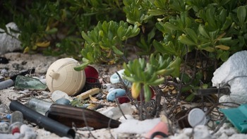 glass bottles, plastic waste, and other debris litter a beach.