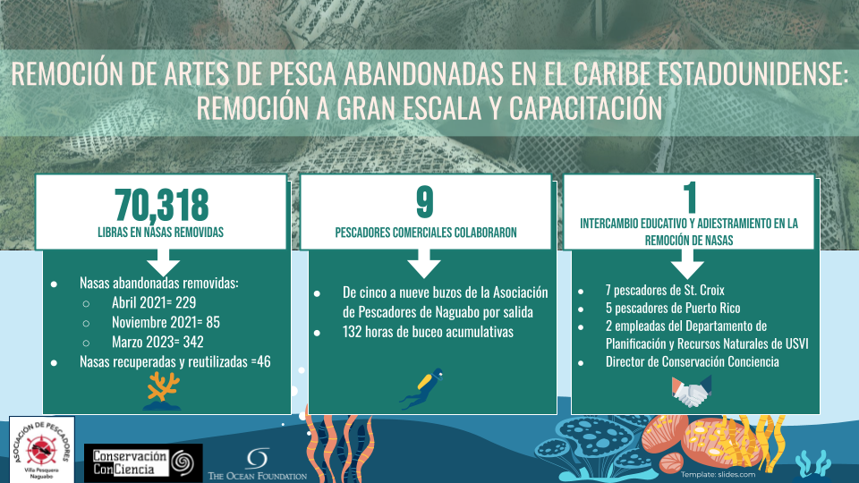 infografico DFG