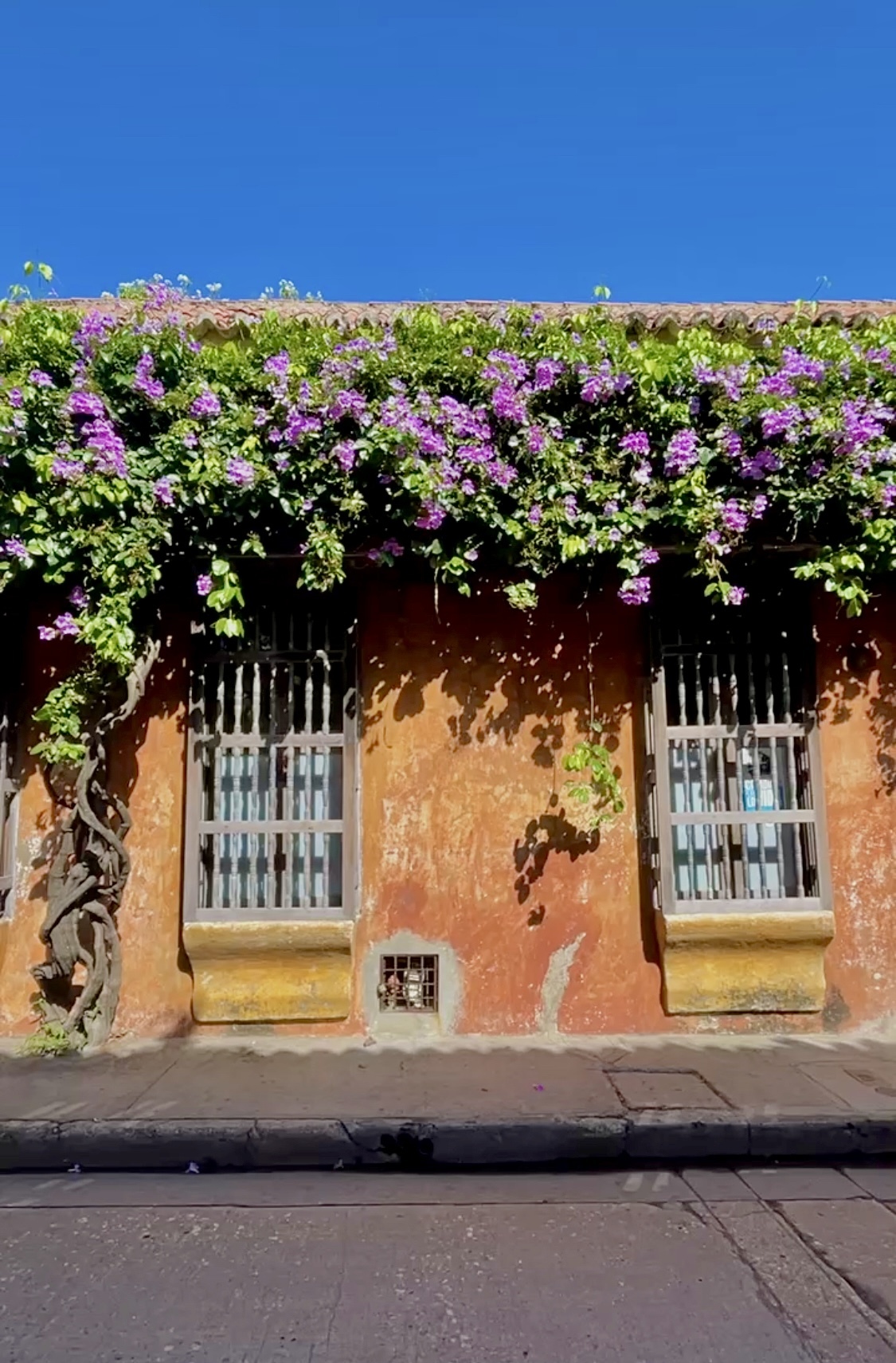 Cartagena