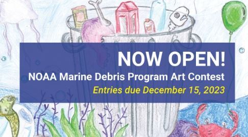 MDP Art Contest Announcement