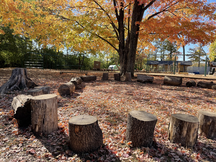tree benches