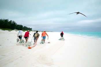 Five people dragging heavy-looking debris across a sandy beach, with an albatross soaring overhead.