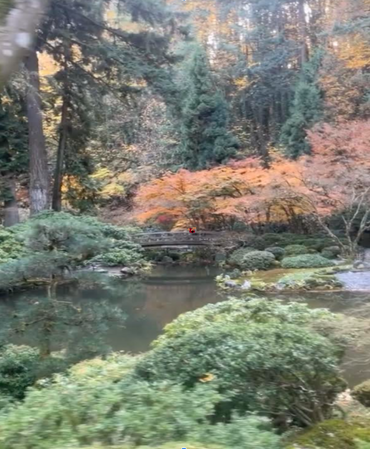 oregon gardens