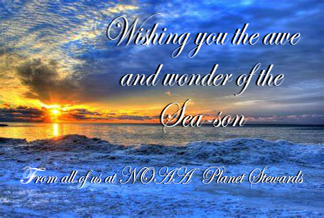 Seasons Greetings card