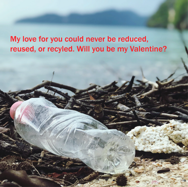 A photo of a plastic bottle and a piece of styrofoam on a beach amongst a pile of sticks with a water landscape in the background.