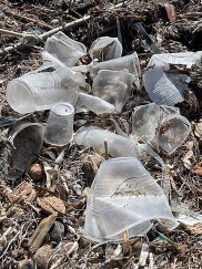 cups