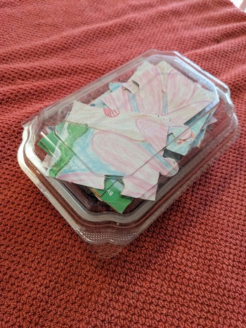 Puzzle pieces packed in a clear plastic box. 