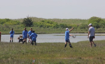 Students explore a salt marsh.