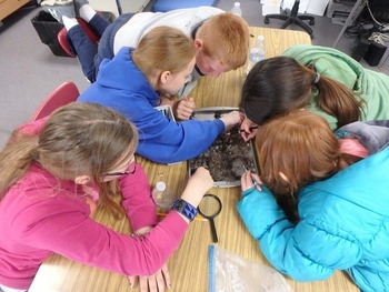 A group of students engaged in a hands-on activity.