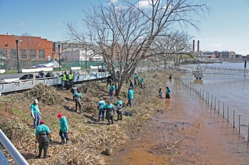 A group of people cleaning up a shoreline, pictured from above.