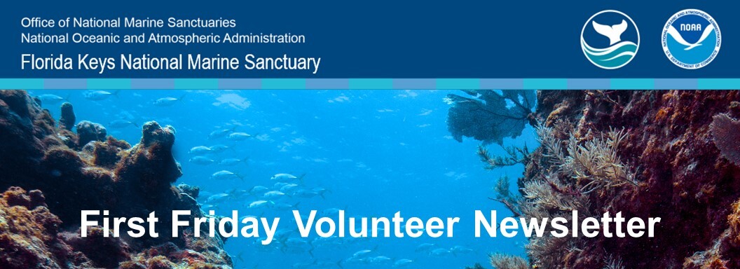 first friday volunteer newsletter header
