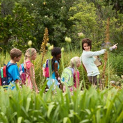 Children following a teacher on a hike through nature