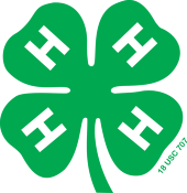4H