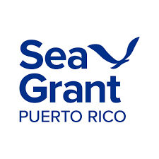 PR SG