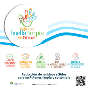 limpiar