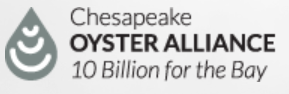 Chesapeake Oyster Alliance, 10 Billion for the Bay