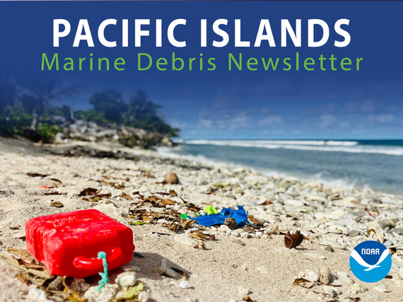 PIR MD newsletter banner