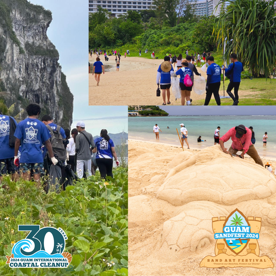 Mural of photos of people cleaning up the beach and making sand sculptures.