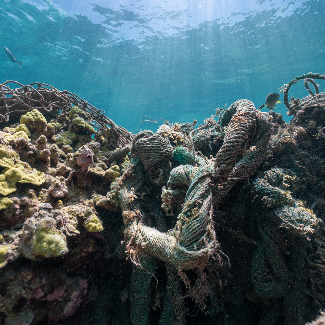 nets on a reef.