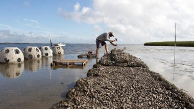 Man harvesting oysters on a rocky beach