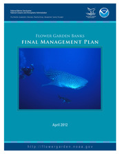 Teal cover of the 2012 Management Plan, that includes a photo of a diver swimming alongside a whale shark 