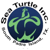 Sea Turtle Inc logo