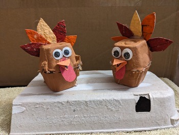 Two finished turkeys.