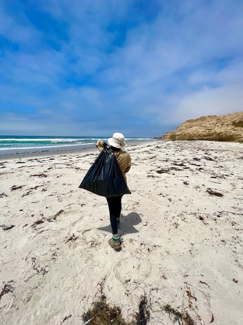 A person holding  a trash bag walks away from the camera down a sandy beach. 