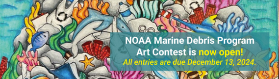 2025 noaa marine debris art contest opens