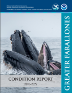 cover of condition report 