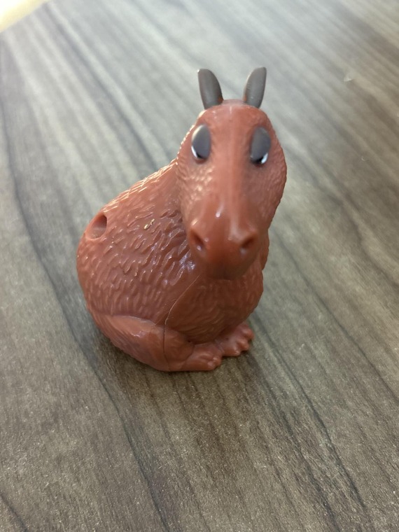 capybara
