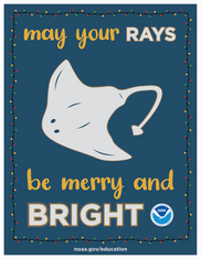 ray