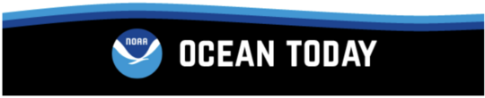 Ocean Today Website Banner