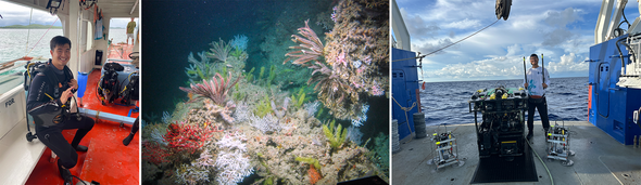 L to R: An Asian male scientist in scuba gear; vibrant coral reef; male scientist on the back deck of a research vessel.