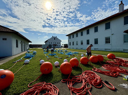 Orange and white buoys and their lines stretched out across a green lawn between buildings on a sunny day