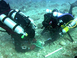 Two divers holding a fish in a net on the bottom at Stetson Bank