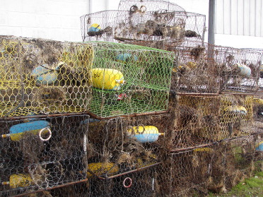 Stacks of derelict crab traps piled on top of one another.