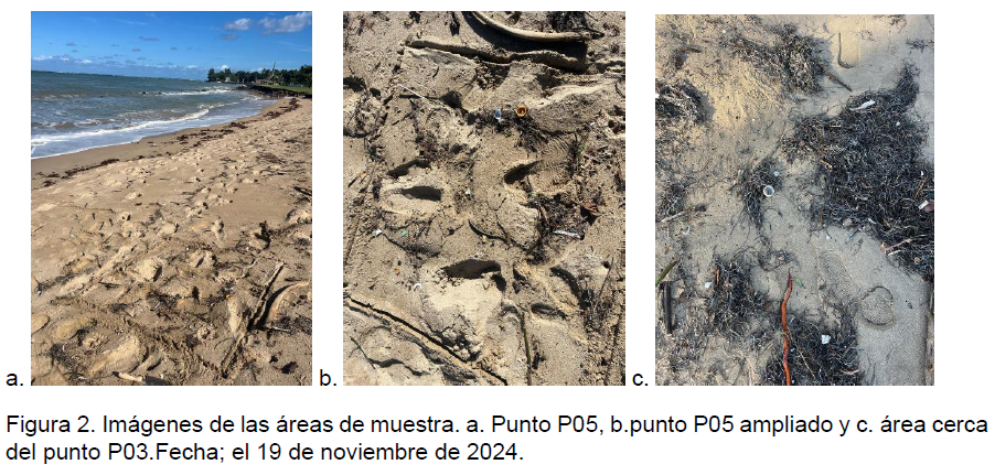 sampling areas