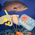 Scuba mask, hammerhead shark, and Let's Shellebrate photo booth props in front of a photo of a large grouper at the reef