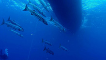 below
