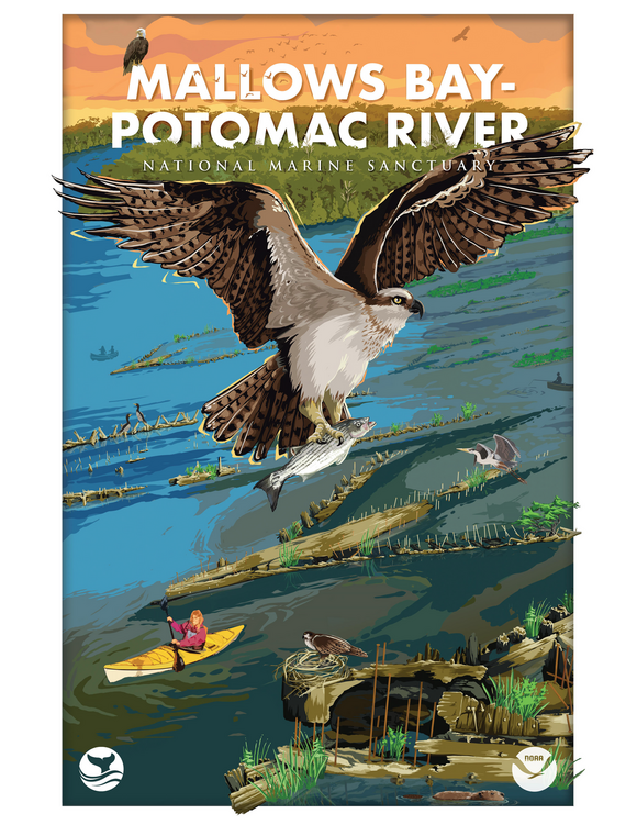 Mallows Bay-Potomac River National Marine Sanctuary 50th Anniversary Poster