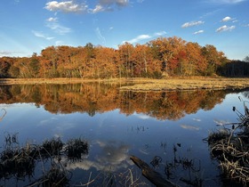 View of the seasonal fall water views at Mallows Bay