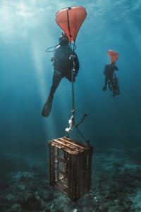 Scuba divers use lift bags to remove derelict traps from underwater.