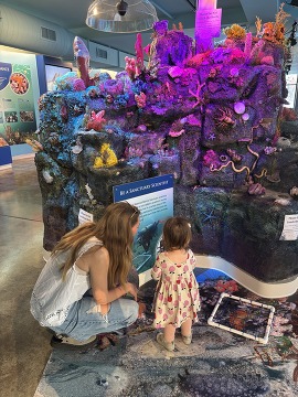 People looking at a reef exhibit.