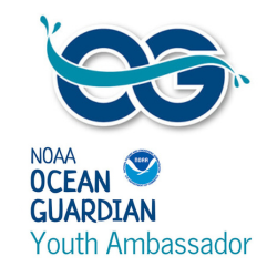 youth ocean guardian