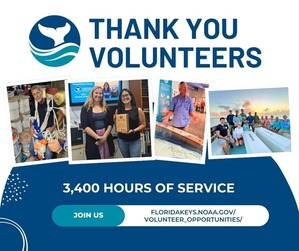 thank you volunteer collage