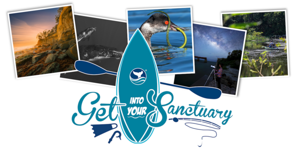 Get into Your Sanctuary header with 2025 winning photos.