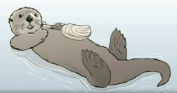 Sea Otter Anatomy