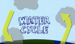 The Water Cycle
