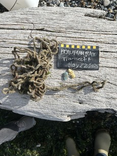 Marine debris found in Bowman Bay, WA. 